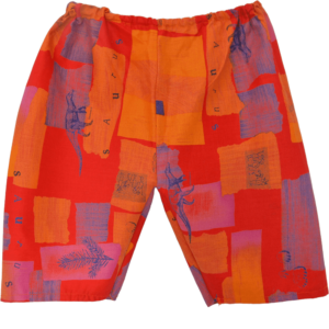 SH03 Short Kermesse Motif Dinosaure