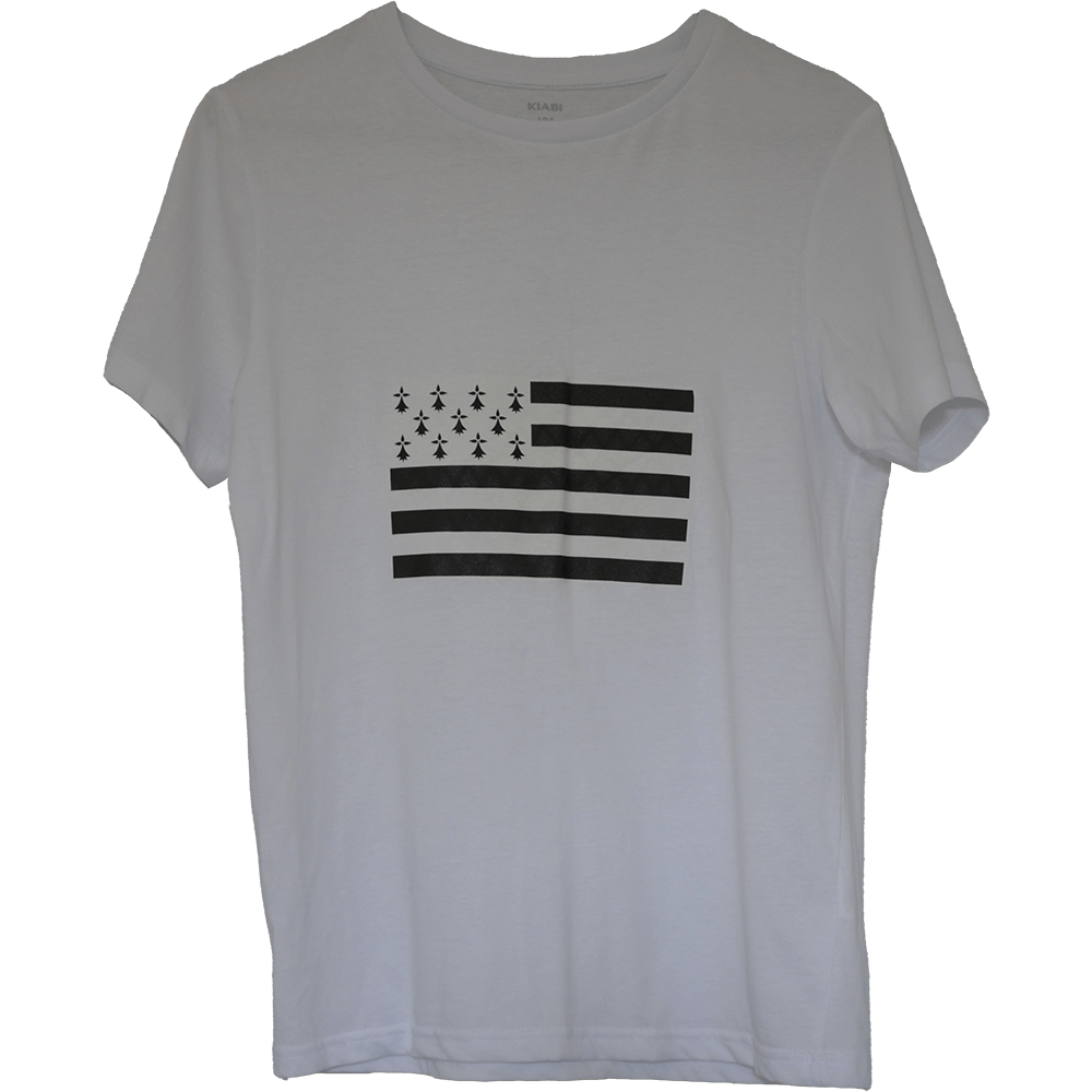 You are currently viewing Tee-shirt Drapeau Breton
