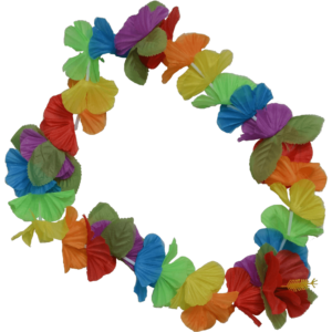 CO01 Collier Costume Tahitien Fleurs Multicolores